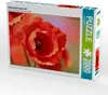 CALVENDO Puzzle Klatschmohn ganz nah 2000 Teile Puzzle quer Produktbild-Vorschau 2