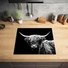 KitchenYeah© Herdabdeckplatte Schottischer Highlander - Kuh Produktbild-Vorschau 2