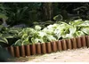 Palissade décorative de jardin - bordure / clôture Voir les images du produit 7
