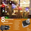 A close-up of a string of colorful LED lights with decorative dried plants hanging from a branch, with a product information overlay. Produktbild-Vorschau