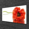 Tulup Leinwand-Bilder 100x50 Wandbild Canvas Kunstdruck Produktbild-Vorschau 2