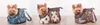 HobbyDog - Transporttasche für Hunde und Katzen, 25x43cm, Produktbild-Vorschau 5