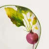 HOMLA SKORD-Dessertteller mit Rote-Bete-Motiv, 20 cm Produktbild-Vorschau 4