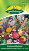 Sommerblumen, Schmücke Garten und Heim Produktbild-Vorschau 1