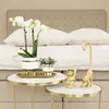 Orchideje Colibri | Bílá orchidej Phalaenopsis – Amabilis + Náhled obrázku produktu 4