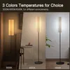 Stehlampe, LED Stehleuchte, Retro Stehlampe, 3 Produktbild-Vorschau 3