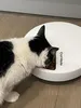 Karmnik dla zwierząt FLAMINGO Cat Mate z timerem L Podgląd zdjęcia produktu 12