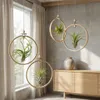 Bloomique - Mix di 10 - Tillandsia - Tillandsia - Vere Anteprima dell’immagine prodotto 2