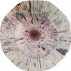 A top-down view of a single, uniquely shaped plate with a radial, abstract pattern. Produktbild-Vorschau