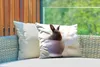 MuchoWow® Outdoor Kissen - Kaninchen - Baby - Teetasse - Produktbild-Vorschau 3