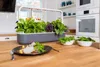 Click and Grow Smart Garden 9 smart pot + 9ks semenných Náhľad obrázku produktu 4