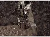 Selbstklebende Folie Fototapete - Klimt inspiration - Produktbild-Vorschau 5