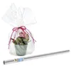 A potted plant wrapped in clear cellophane, tied with a pink ribbon, and a roll of cellophane wrap. Produktbild-Vorschau