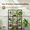 Bamworld Pflanzenregal Außen Innen Blumenständer Hohe Produktbild-Vorschau 4