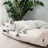 A white dog is sleeping peacefully on a beige dog bed next to a potted plant. Náhled obrázku produktu