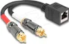 DELOCK Adapter RJ45 Buchse < 2 x Cinch Stecker schwarz Produktbild-Vorschau 1