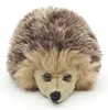 A plush toy hedgehog is shown from the front against a white background. Produktbild-Vorschau