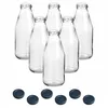 set di 6 bottiglie di succo 500 ml con tappo a vite nero Anteprima dell’immagine prodotto 1