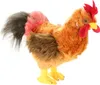 A plush toy rooster on a white background. Náhled obrázku produktu