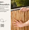 Schilf Balkon Sichtschutz -  es, Natürliches Schilf - Produktbild-Vorschau 6