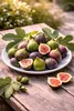 Ficus carica Bornholms Busch 50–70 cm – Winterharte Feige, Produktbild-Vorschau 3