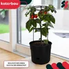 A potted tomato plant with ripening fruit, placed indoors near a window. Produktbild-Vorschau