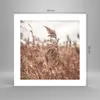 Poster - Poster ohne Rahmen - Zuckerrohr Wiese Boho - 40x40 Produktbild-Vorschau 4
