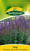 Quedlinburger Saatgut - Ysop - Samen - 496072 Produktbild-Vorschau 1