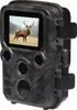 Mini kamera Wildcam Mini WCS-5020, LCD, počet LED diód: 2 Náhľad obrázku produktu 12