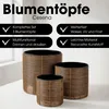Mica Decorations Cesena Pot de fleurs – Lot de 3 – Pot pour Voir les images du produit 2