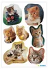 Herma 5747 5747 Sticker DECOR gattini fotogenici Anteprima dell’immagine prodotto 2