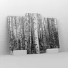 Bild auf Leinwand - Leinwandbild - 3 Teile - Birken Wald Produktbild-Vorschau 4
