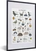 MuchoWow® Gerahmtes Poster Dinosaurier - Kinderzimmer - Produktbild-Vorschau 1