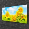Acrylglasbilder 100x50 Wandbild Druck Sonnenblumen Pflanzen Produktbild-Vorschau 2