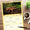 Familienplaner 2027 - Vogelspinnen - Tarantulas mit 5 Produktbild-Vorschau 8