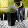 A person is tending to a lavender plant in a tall black planter, with other planters in the background. Podgląd zdjęcia produktu