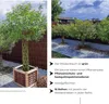 Geflochtener Weidenbaum 160 cm Geflochtene Weide - Produktbild-Vorschau 3