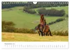 Exmoor Ponnys - Die letzten Ihrer Art (Wandkalender 2027 Produktbild-Vorschau 12