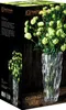 Nachtmann Vase oval 16cm Quartz  0088333-0 Voir les images du produit 5