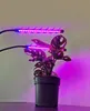 A potted plant is illuminated by two LED grow lights emitting purple and pink light. Podgląd zdjęcia produktu