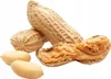 Erdnussmus - Ohne Zuckerzusatz - 1 KG - Proteinquelle - Produktbild-Vorschau 2