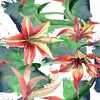 Coloray Fototapete 208x146 cm Vlies-Fototapete - Produktbild-Vorschau 2