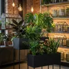 A collection of plants in planters, with industrial-style shelving and lighting in the background. Produktbild-Vorschau