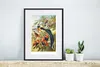 MuchoWow® MuchoWow® Gerahmtes Poster Antiker Vogeldruck Produktbild-Vorschau 6