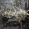 Lichterkette - Serie MICROLED 3mm - 3m - transparentes Kabel -  30 warmweiße LED - Trafo Podgląd zdjęcia produktu
