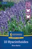 Kiepenkerl Herbstblumenzwiebel Profi-Line Hasenglöckchen Produktbild-Vorschau 2