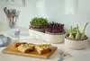 Sprossenschale & Pflanzschale ReGrow | Keimschalen von Produktbild-Vorschau 13