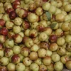 Food-United KIRSCH-APFEL-ÄPFEL mit Stiel 1 Dose Füllm 425g Produktbild-Vorschau 5