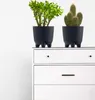 Two potted plants on top of a white dresser. Náhľad obrázku produktu
