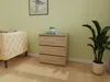 A chest of drawers with a plant and a framed picture in a room. Náhled obrázku produktu